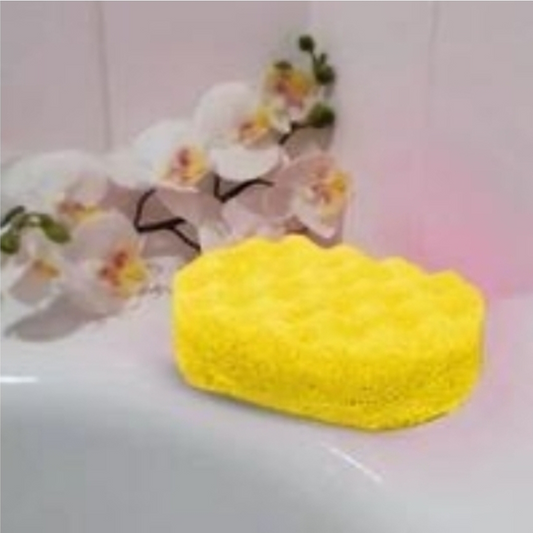PETALS INSPIRED  SOAP SPONGE