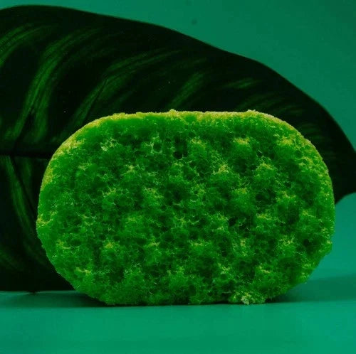 AFRICA INSPIRED SOAP SPONGE