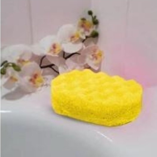 SPARKLE INSPIRED SOAP SPONGE